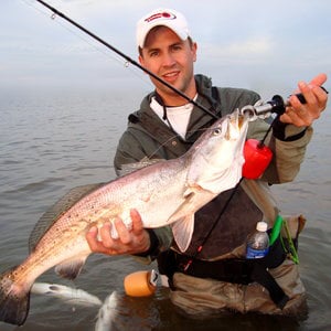 Profile picture for David Ferguson