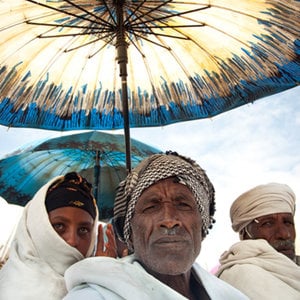 Profile picture for The Gaia Foundation & ABN
