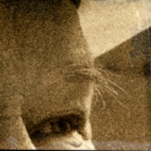 Profile picture for René Frölke