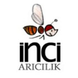Profile picture for Ahmet İnci