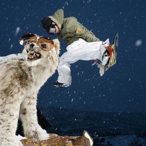 Profile picture for Bakkå röfjälle
