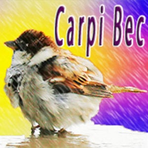 Profile picture for Carpi Bec