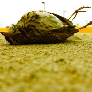 Profile picture for Michael Drewry