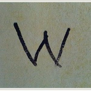 Profile picture for Will Maierica