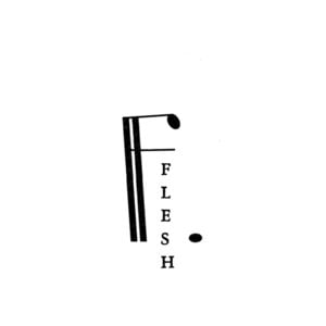 Profile picture for FLESH Studios