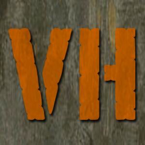 Profile picture for VIDEOHOOD