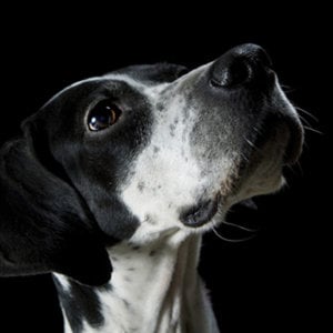 Profile picture for Mike Schurr