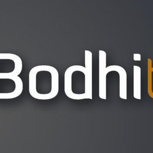 Profile picture for Bodhitv