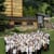 Grand Teton Music Festival