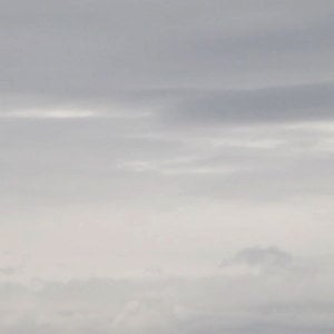 Profile picture for Stuart Langfield
