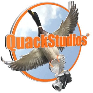 Profile picture for QuackStudios