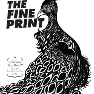 Profile picture for Fine Print