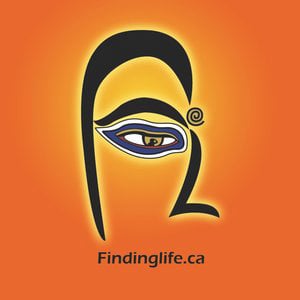 Profile picture for Findinglife.ca