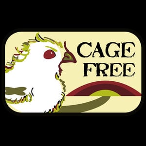 Profile picture for Cage Free Content