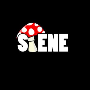 Profile picture for Stene Productions