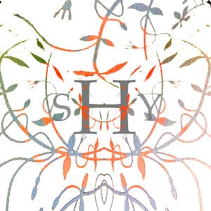 Profile picture for Martin Sjölander