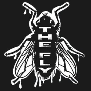 Profile picture for The Fly