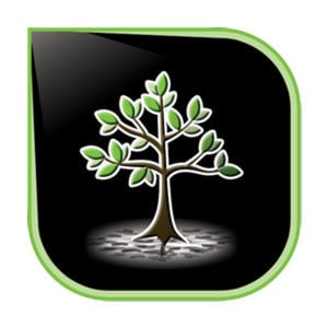 Profile picture for Cholangiocarcinoma Foundation