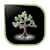 Cholangiocarcinoma Foundation