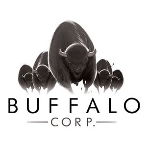 Profile picture for BUFFALO CORP.