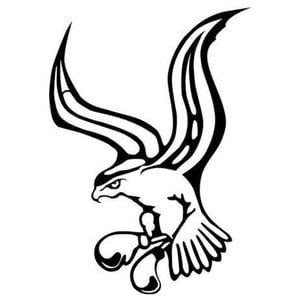Profile picture for Falcon Punch