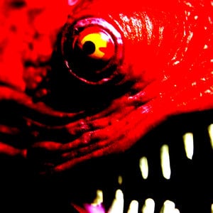 Profile picture for FishforBrains