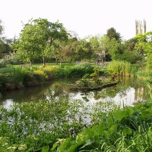 Profile picture for Oxford Botanic Garden