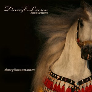 Profile picture for Darryl Larson
