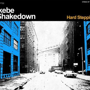 Profile picture for Ikebe Shakedown