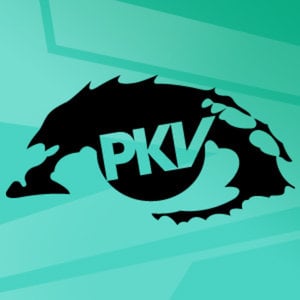 Profile picture for Parkour Visions