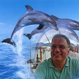 Profile picture for Fernando Freitas
