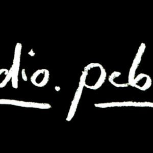 Profile picture for studio.pebble