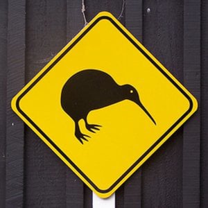 Profile picture for Spinning Kiwi