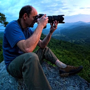 Profile picture for Lynn Willis