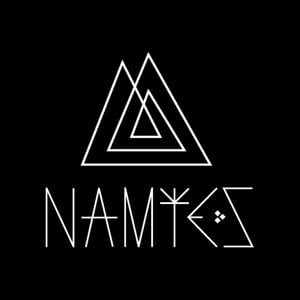 Profile picture for namtes