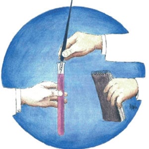 Profile picture for ACCC