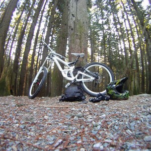 Profile picture for Ryan Roach