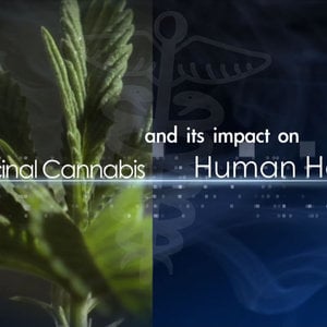 Profile picture for Marijuana Movie