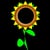 TOURNESOL MEDIA ENTERTAINMENT