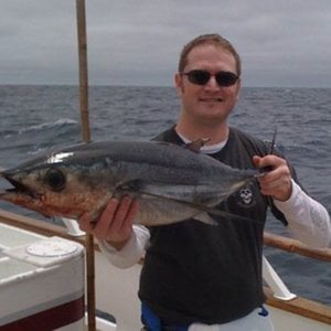 Profile picture for Dave Bergschneider