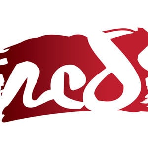 Profile picture for red Bicycle Media