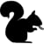 Tusk of Squirrel