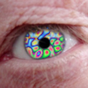 Profile picture for Dave Jones