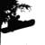 Tree Tap Productions