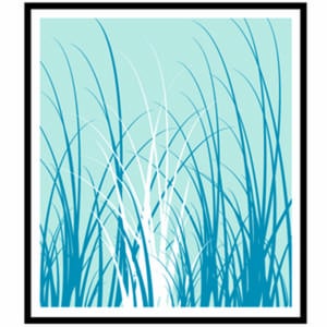 Profile picture for Cal. Invasive Plant Council