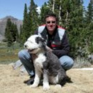 Profile picture for Shaggy Dog
