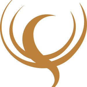 Profile picture for Luxury Action