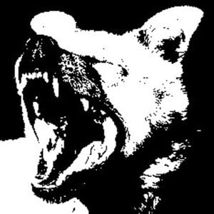 Profile picture for Animals of Combat