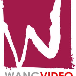 Profile picture for Wang Videography