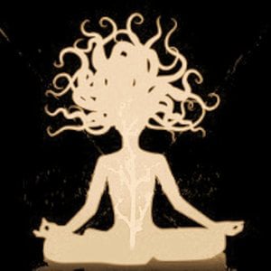 Profile picture for Sharareh Khodabakhsh